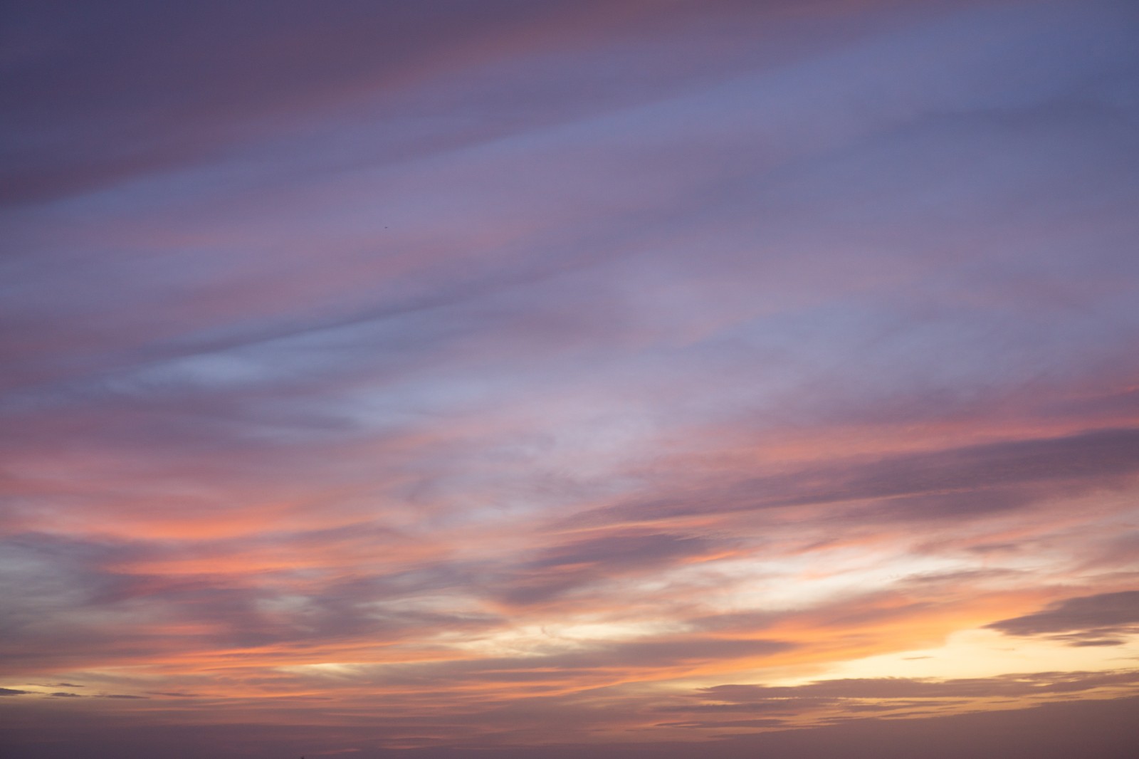 Banner 2