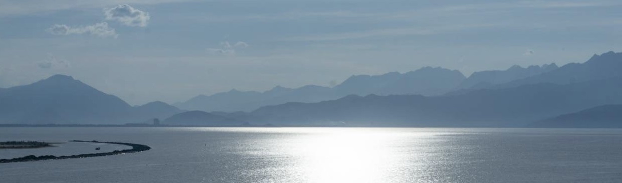  Báo cáo, phân tích