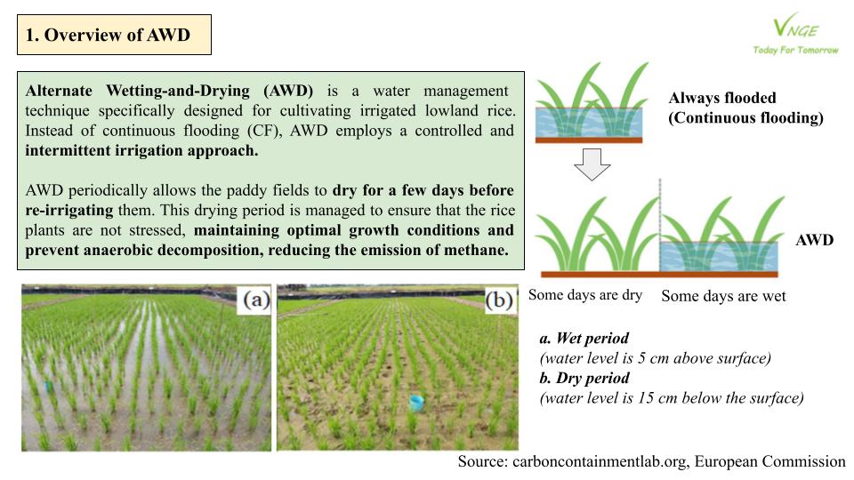 Alternate Wetting-and-Drying Application on Philippines Rice Paddies 