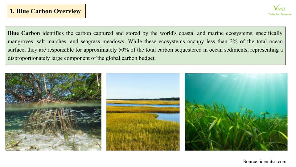 Japan’s Action towards Blue Carbon Initiative  