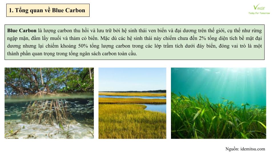 Nhật Bản thúc đẩy sáng kiến carbon xanh (Blue Carbon) 