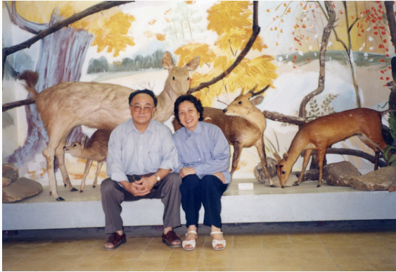 After 11 Summers <br> Nguyen Quang Bach